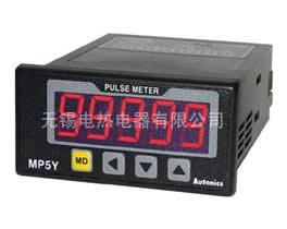 多功能脉冲表MP5Y